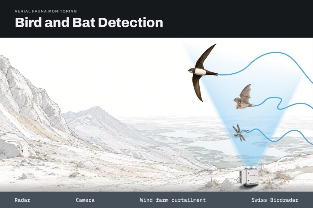 Illustration of a FaunaScan MR2 radar looking up and tracking a swift, a bat and a dragonfly.
